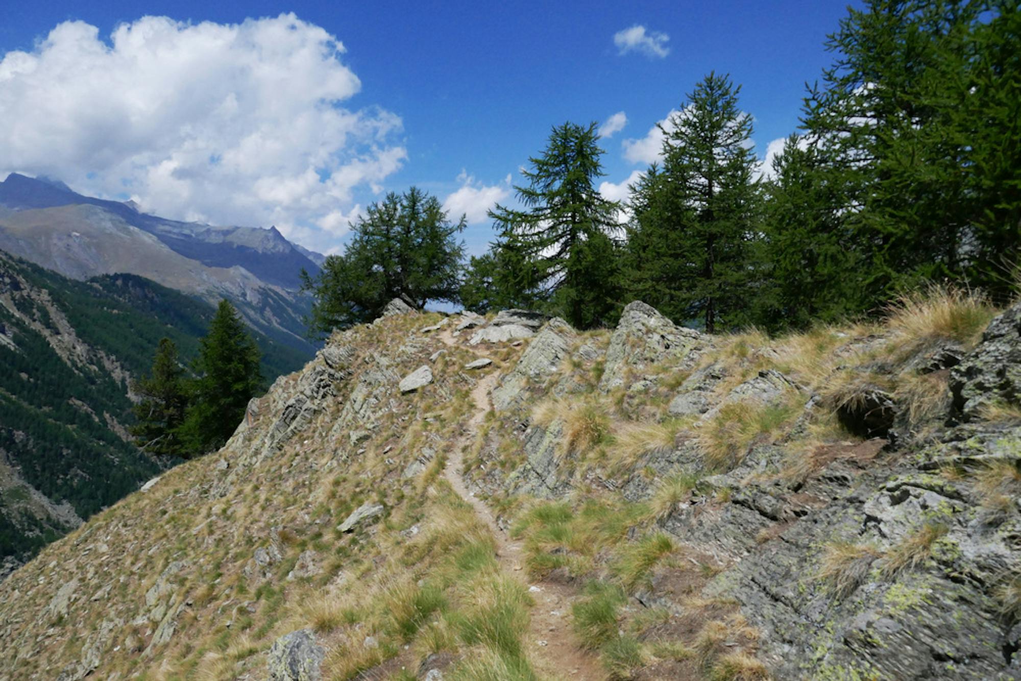 Gran Paradiso National Park 2 (wikimedia commons by Tiia Monto)