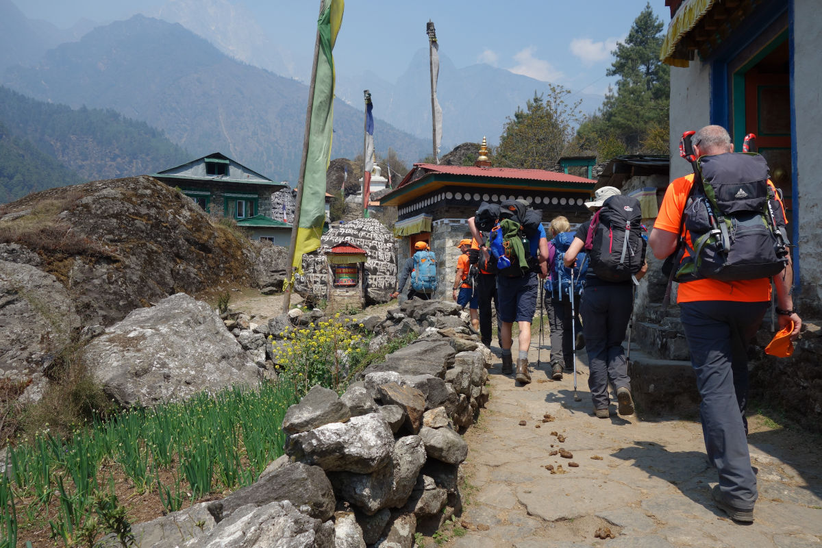 Kathmandu hiking outlet poles