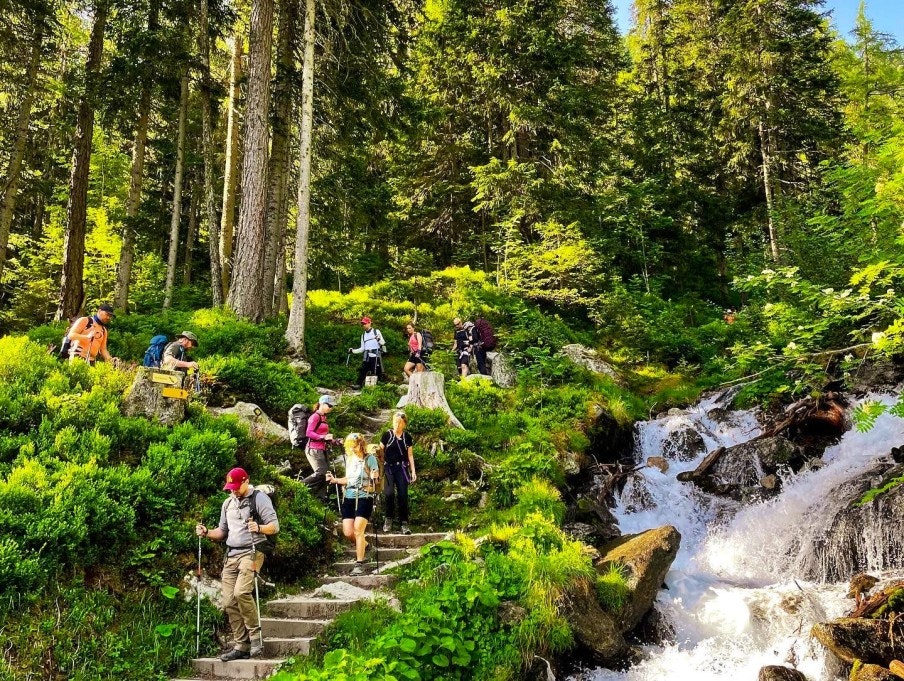 Downhill Tour du mont blanc
