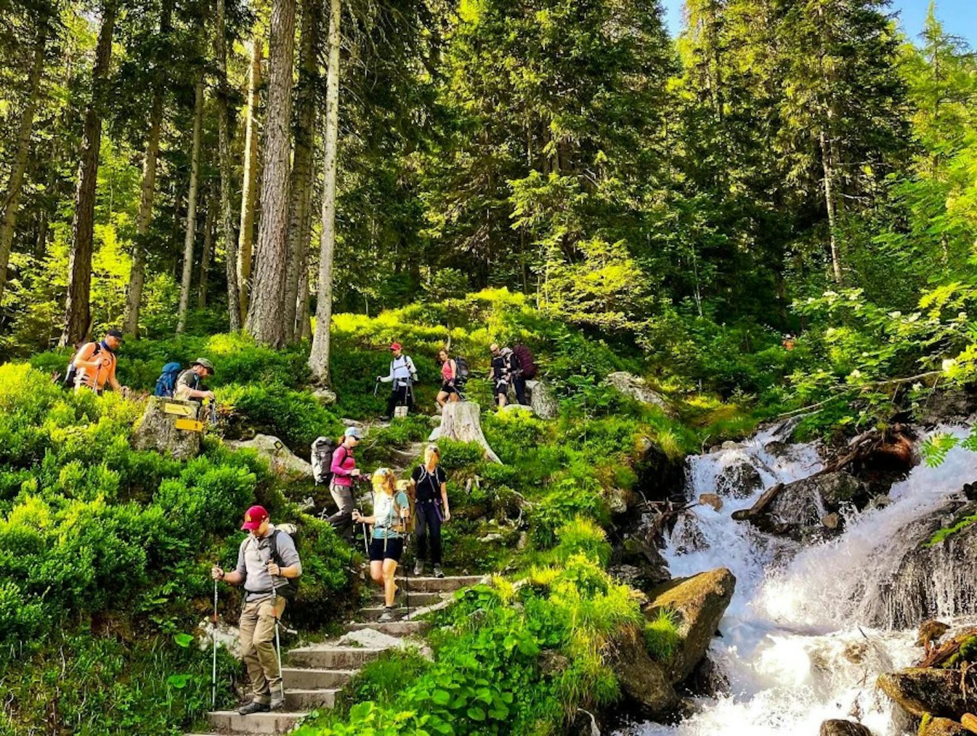 Downhill Tour du mont blanc