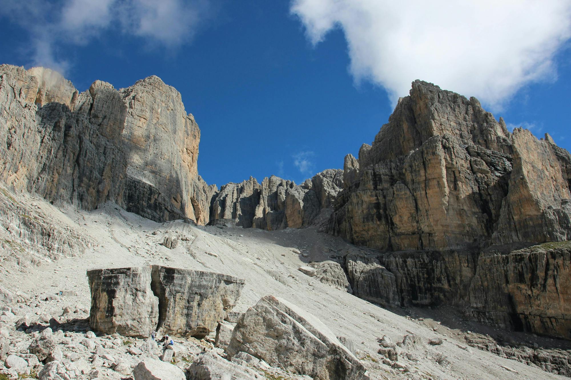 pexels-adam-rozanski-baintha-brakk