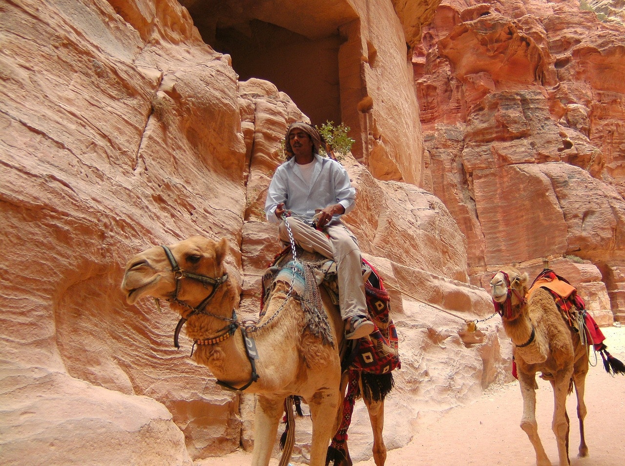 pixabay-zebulon-petra-camels
