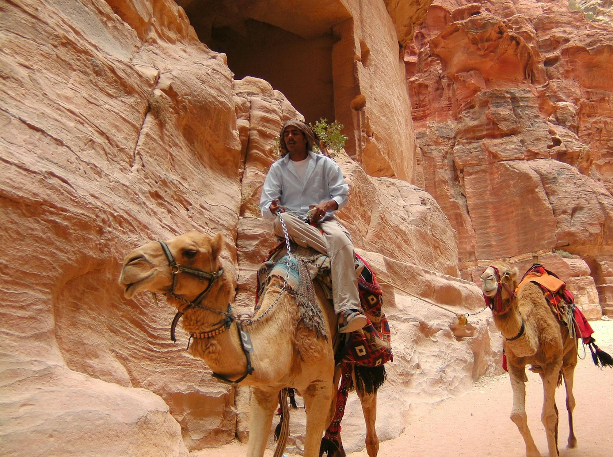 pixabay-zebulon-petra-camels