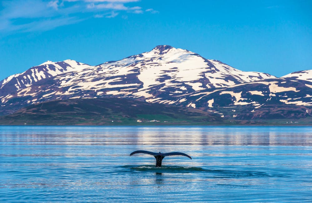 Eyjafjordur