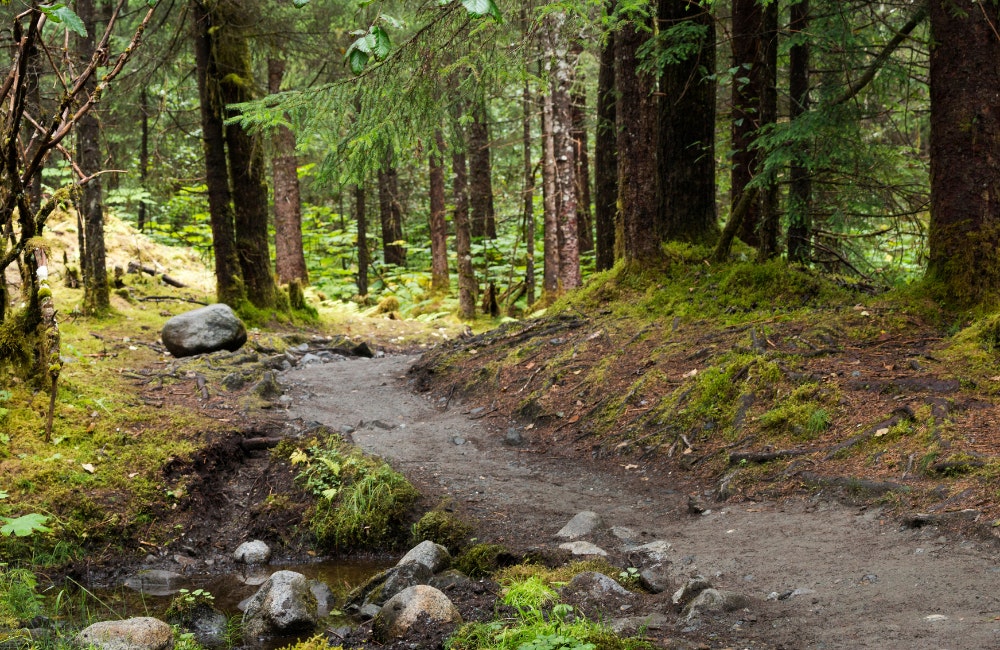Tongass National Forest