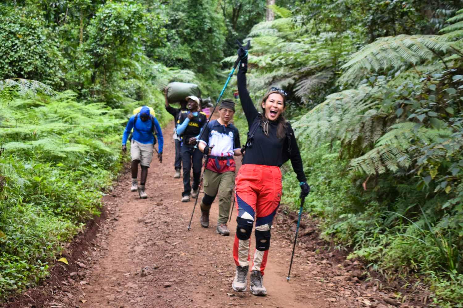 Jump rainforest Kilimanjaro