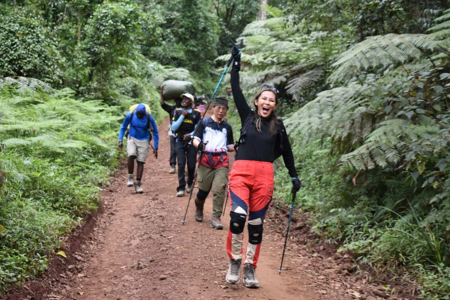 Jump rainforest Kilimanjaro
