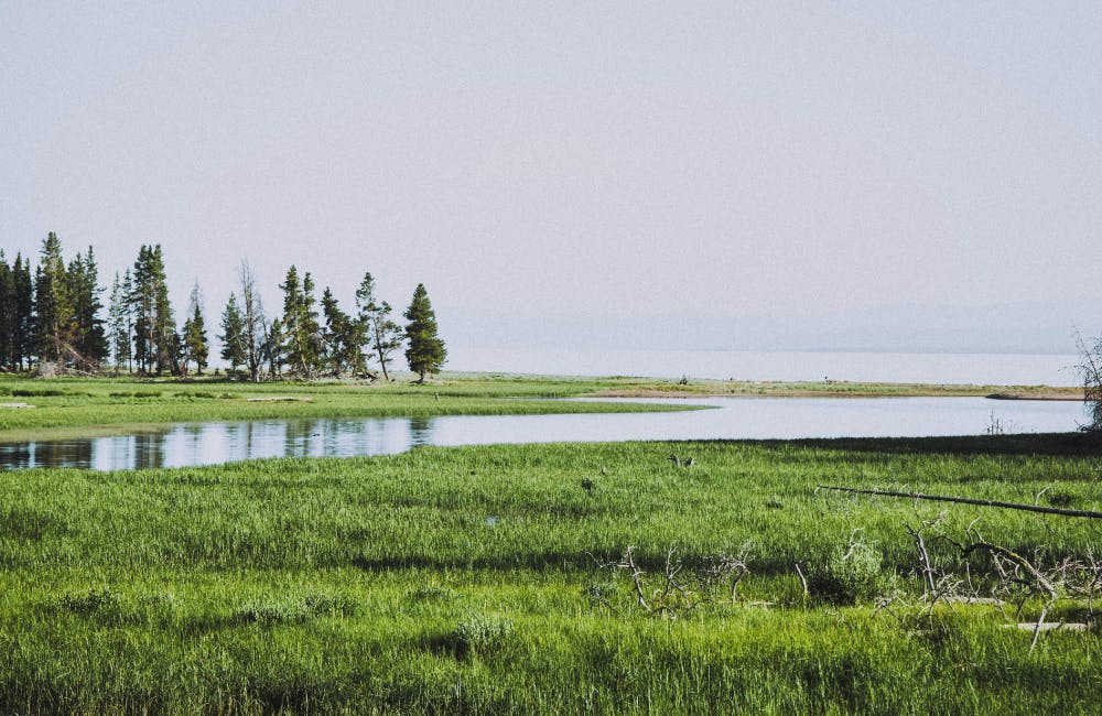 Storm Point Loop
