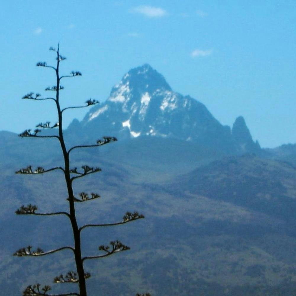 MT KENYA