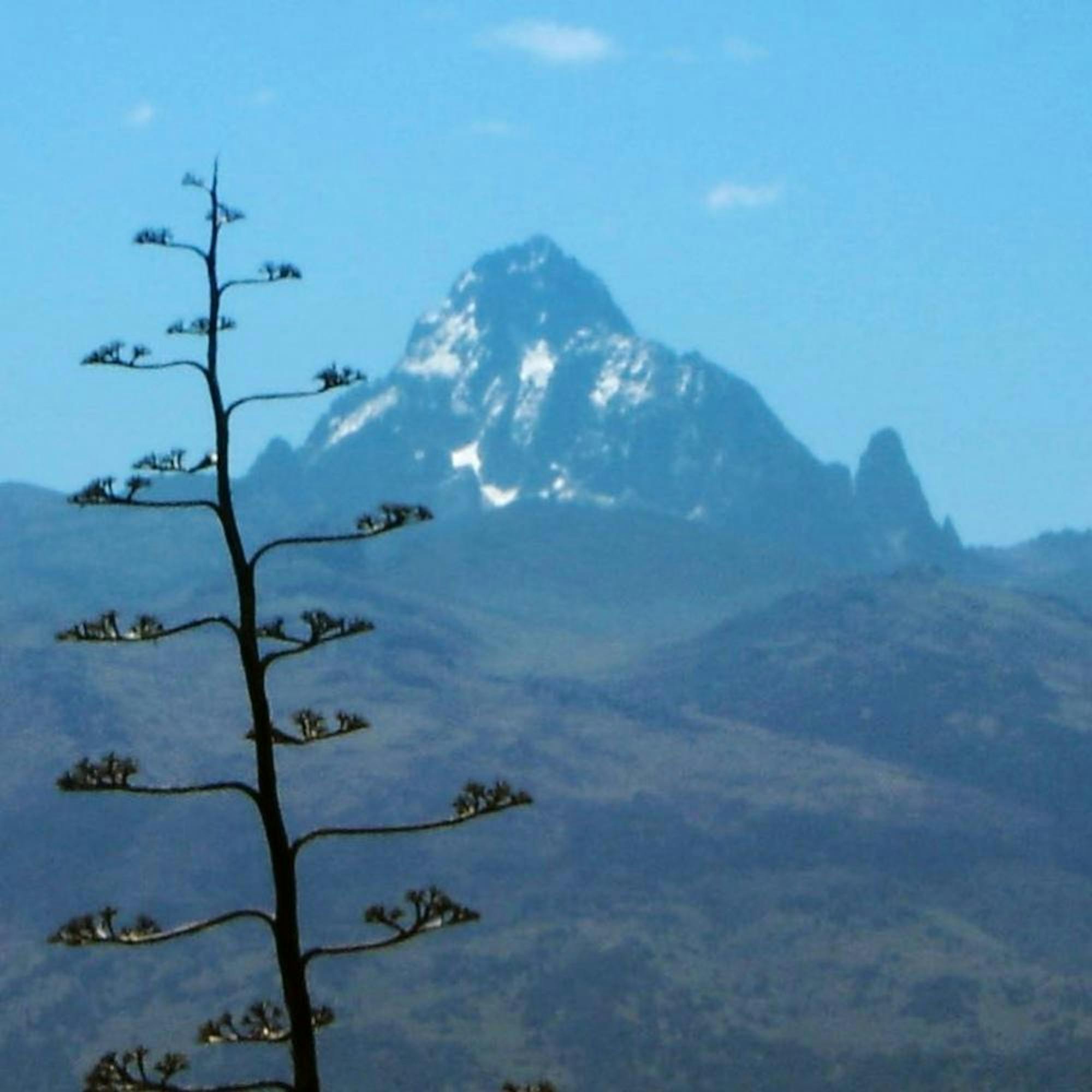 MT KENYA