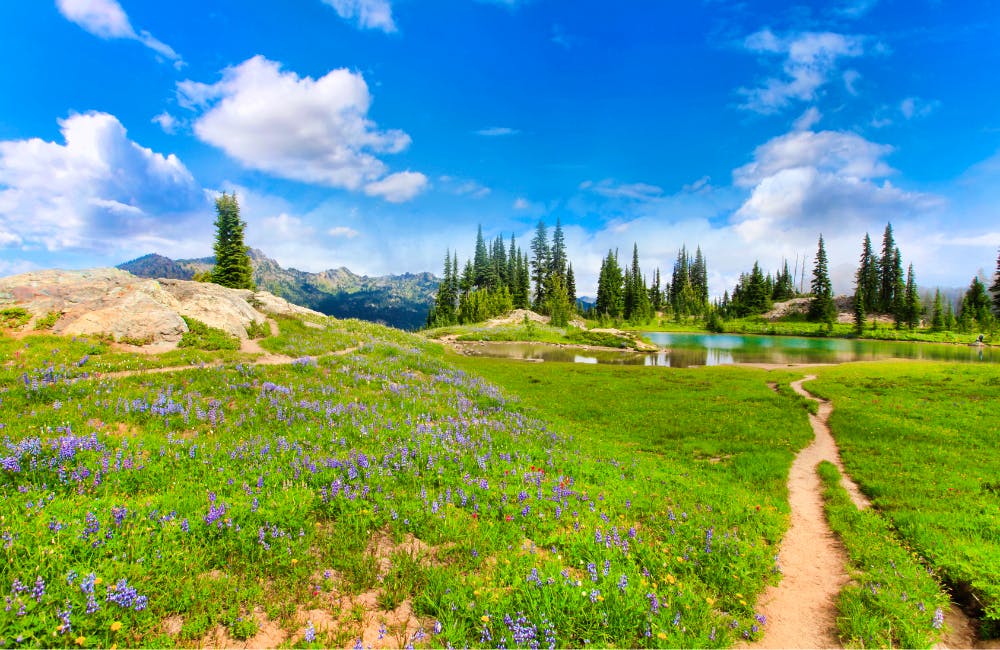 The Naches Peak Loop