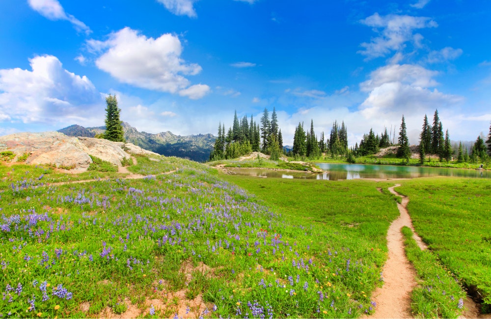 The Naches Peak Loop