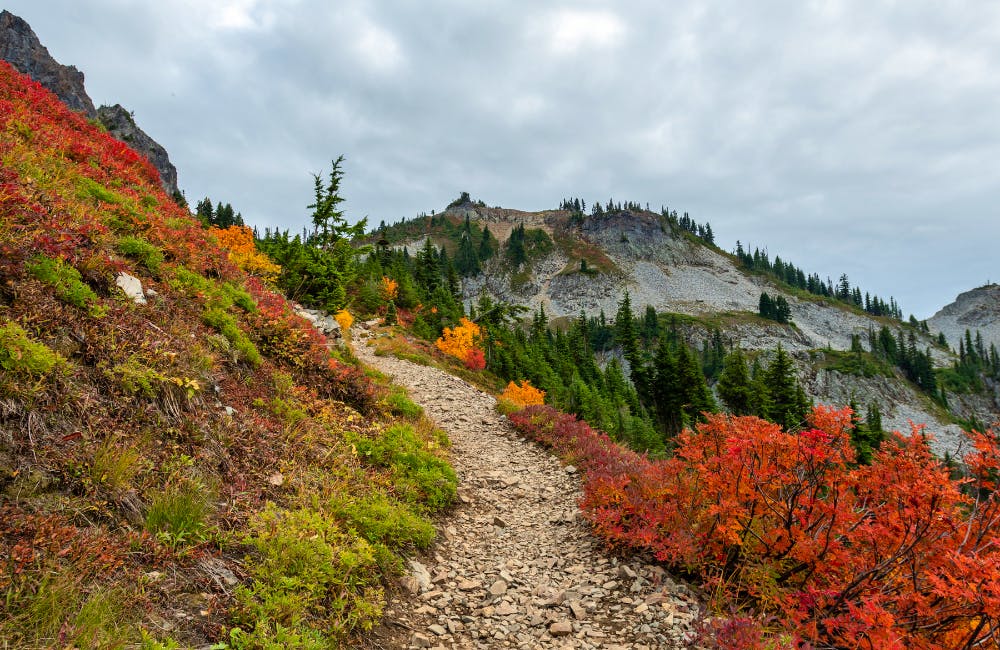 Pinnacle Peak Trail