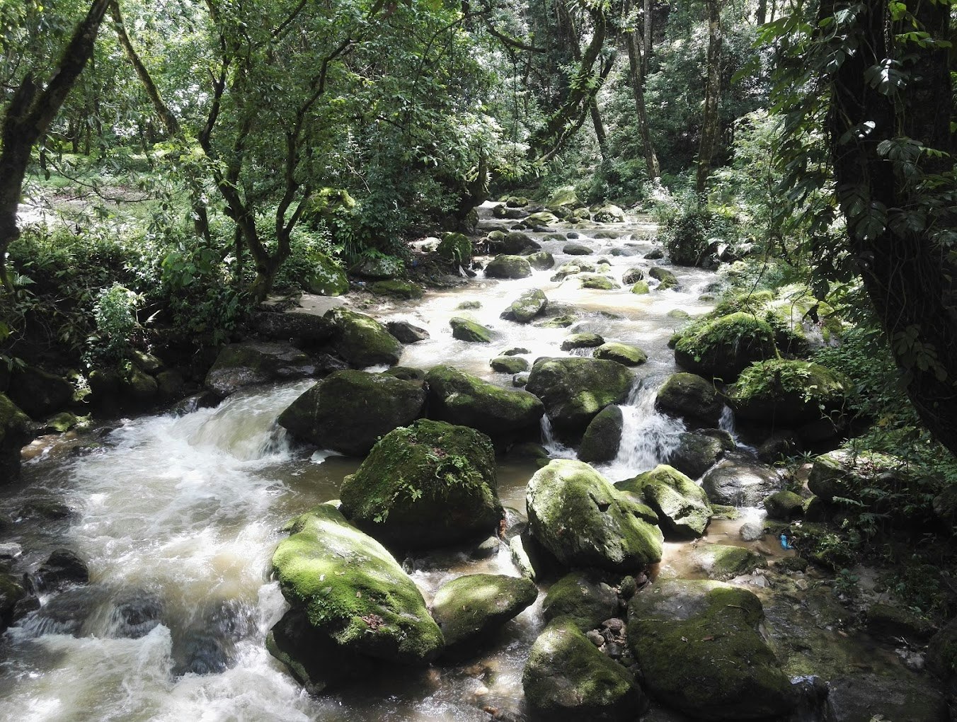 Shivapuri National Park