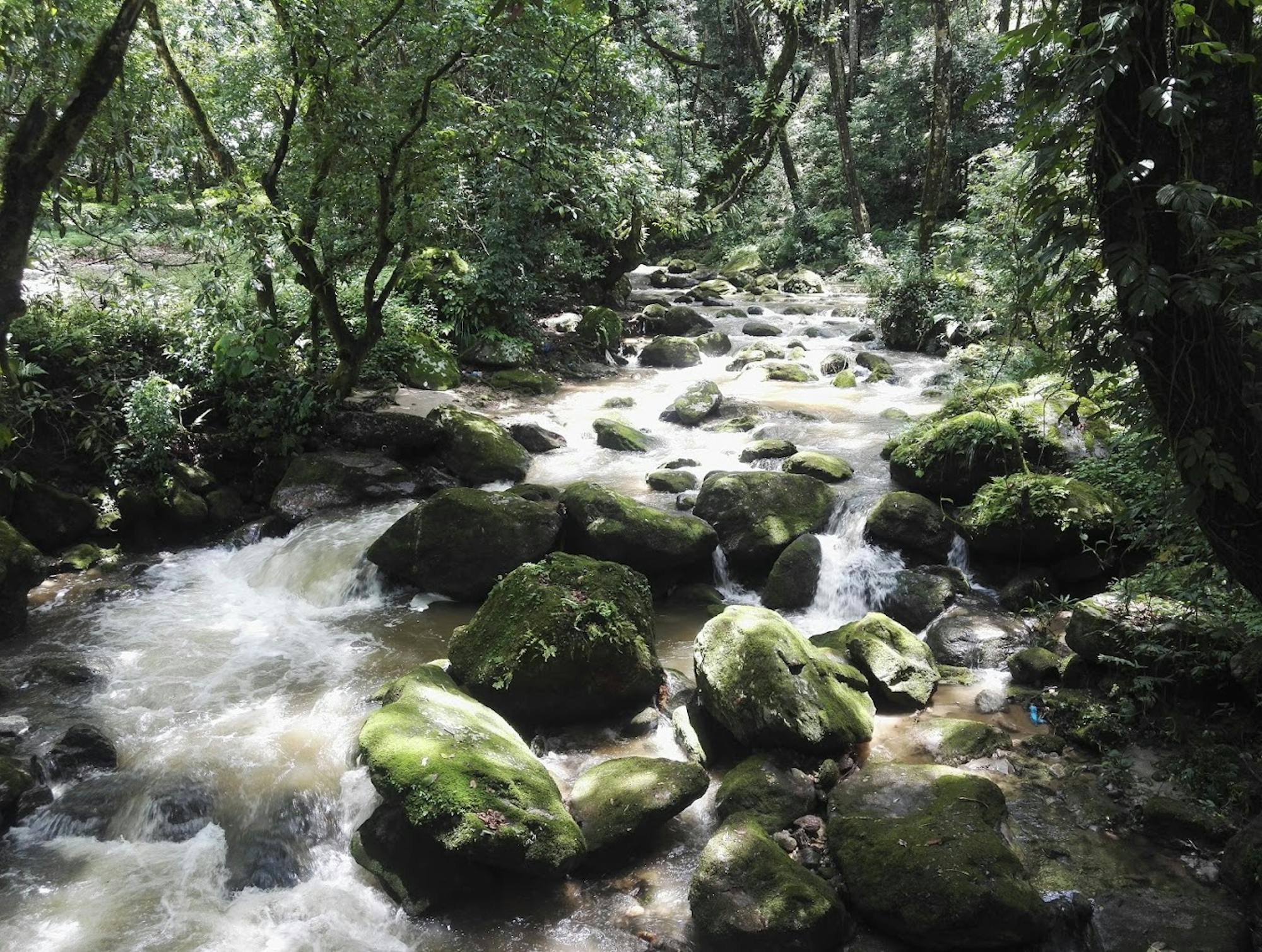 Shivapuri National Park