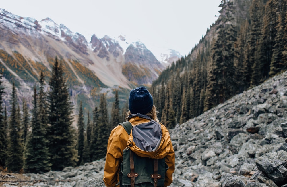 5. Final Check and Adjustments