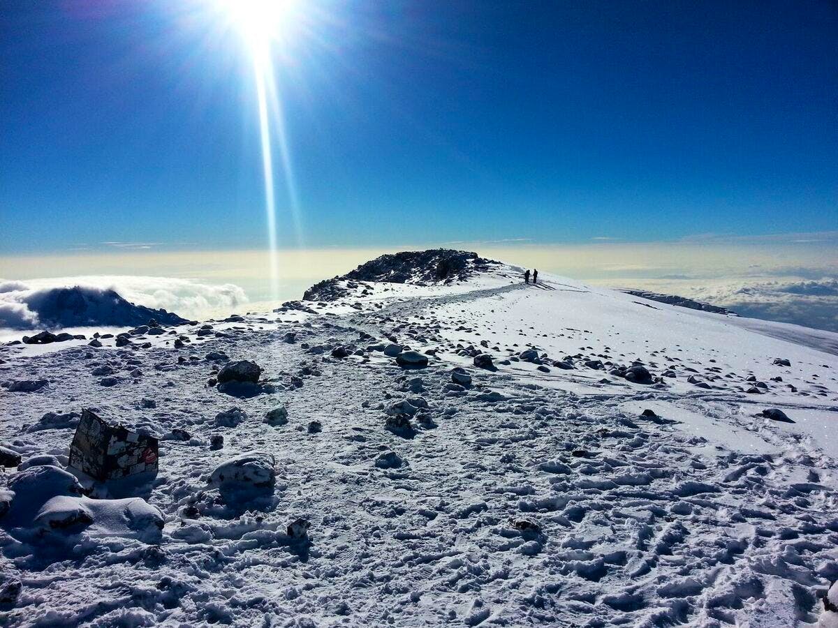 mount kilimanjaro from view on lemosho route