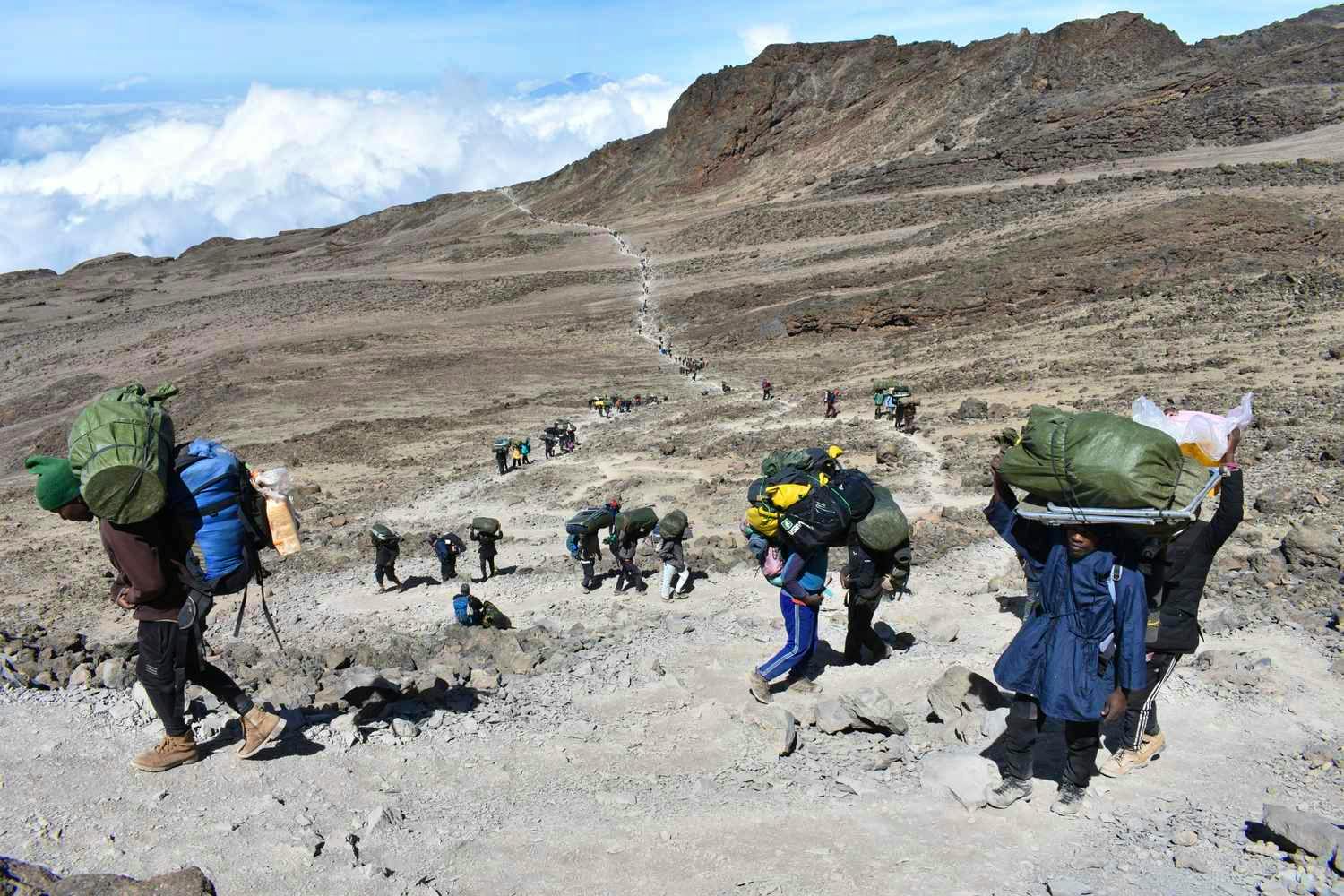 hike to base camp Kilimanjaro