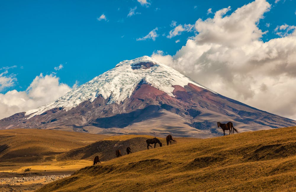 Avenue of Volcanoes Trek