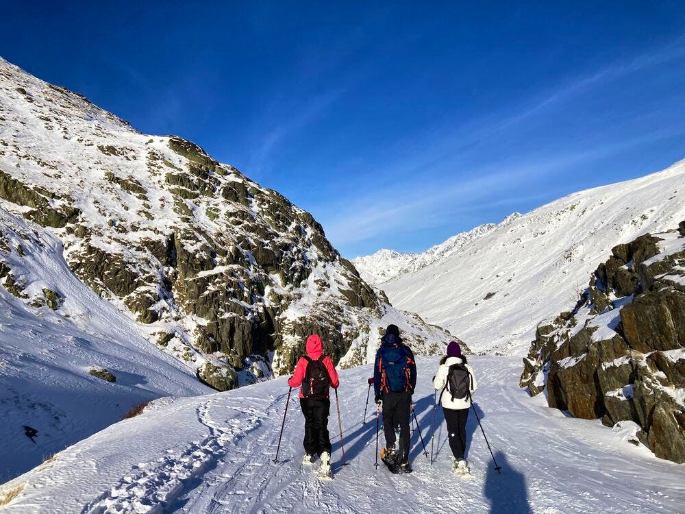 snowy st bernard trails