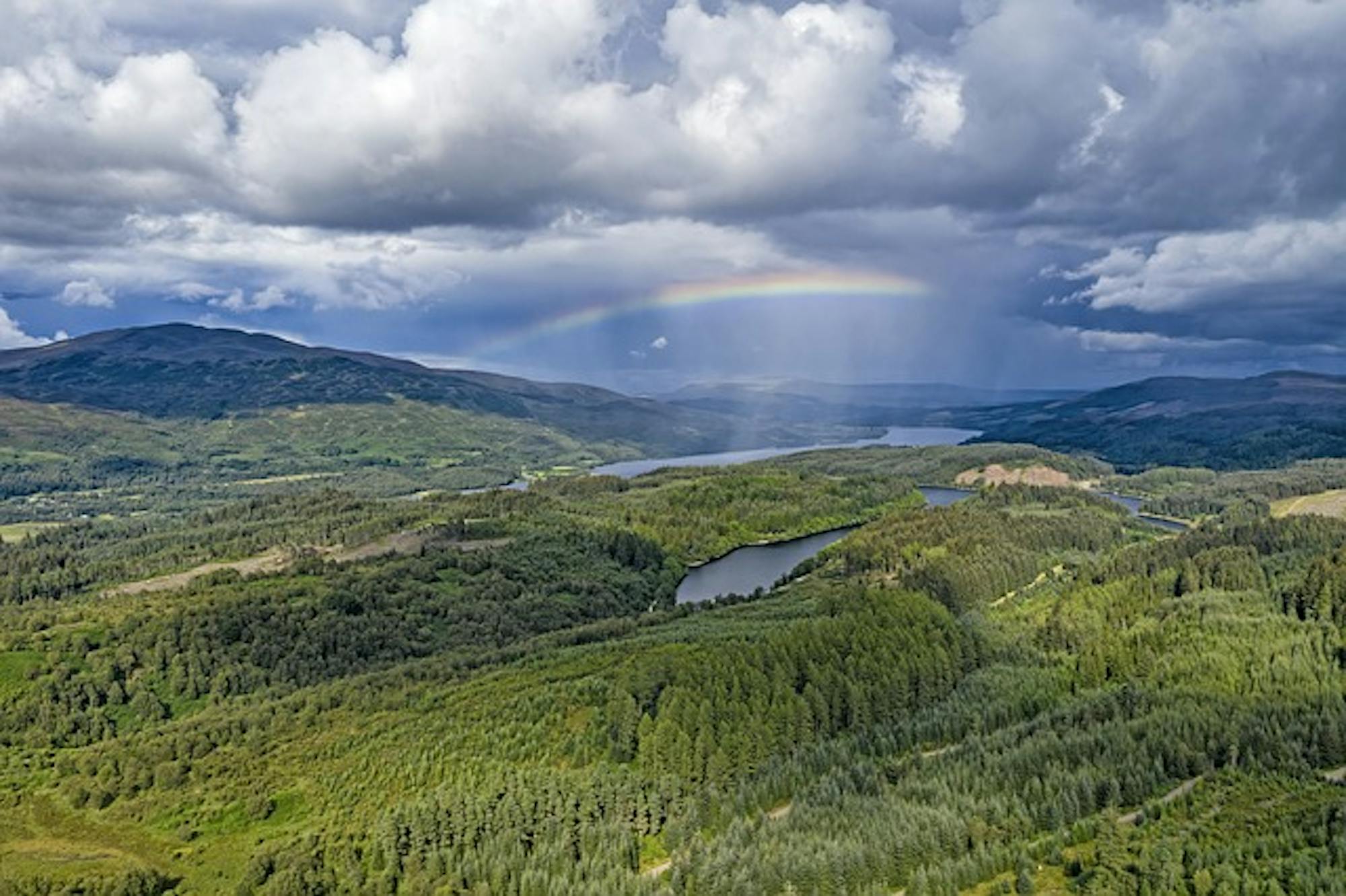 queen-elizabeth-forest-park-4415688 640 (1)