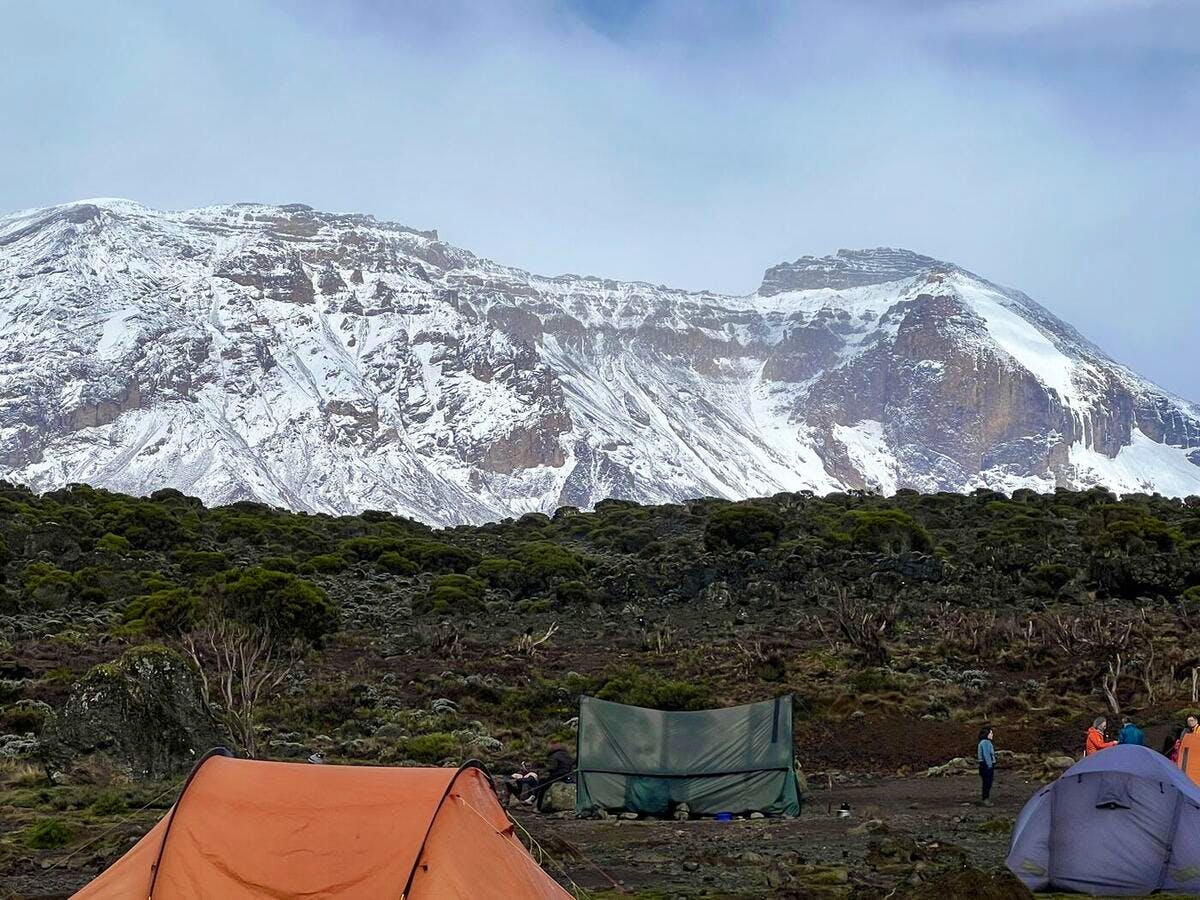 mount kilimanjaro machame camp