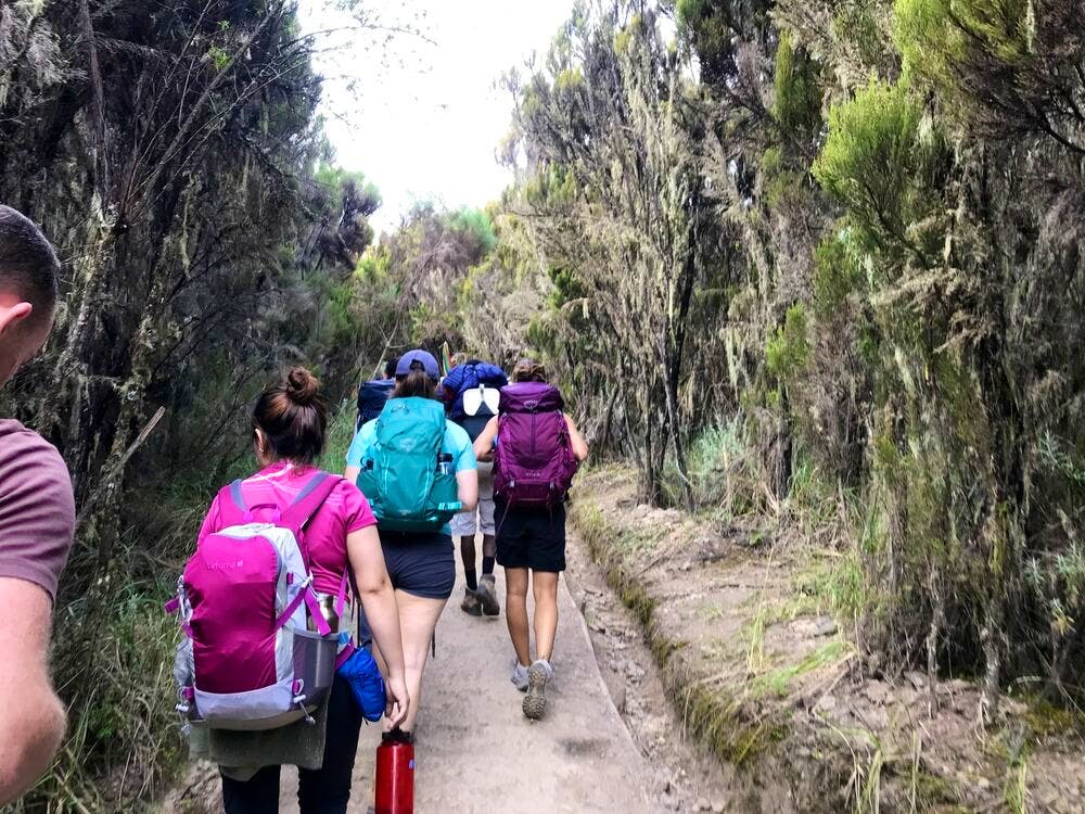 Summit path
