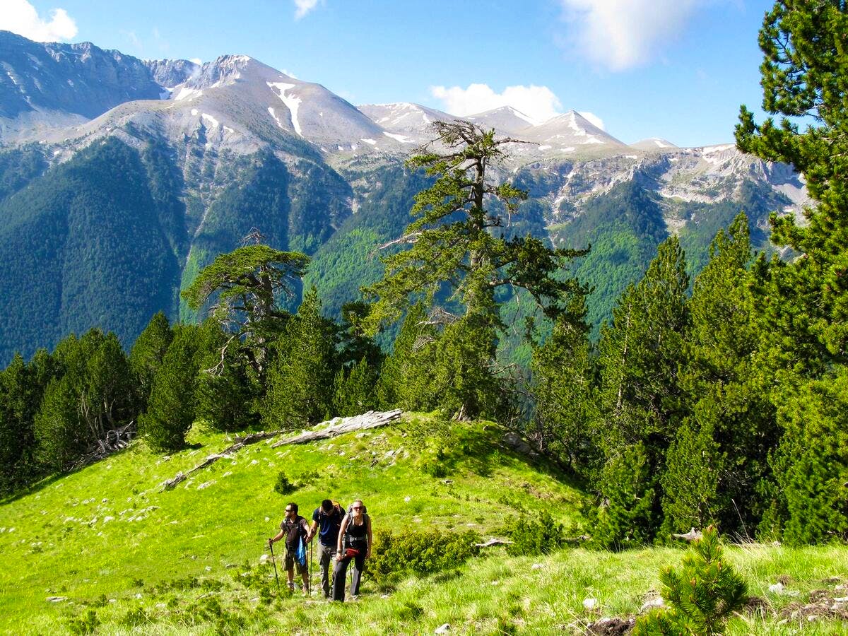 mt olympus hike
