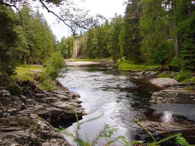 river dee