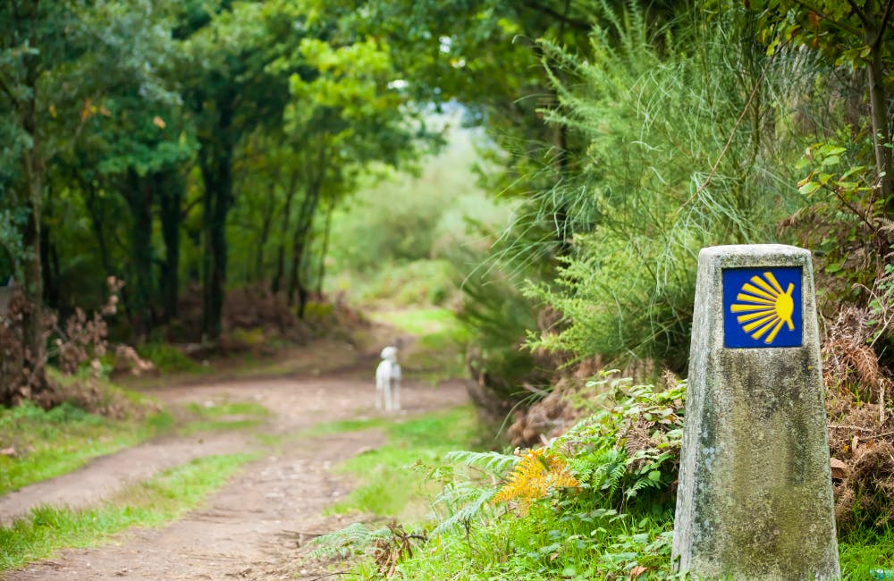 Camino de Santiago