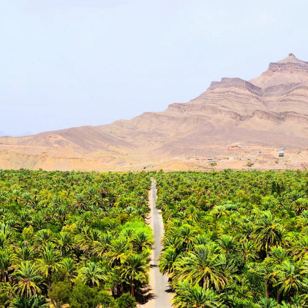 morocco road oasis