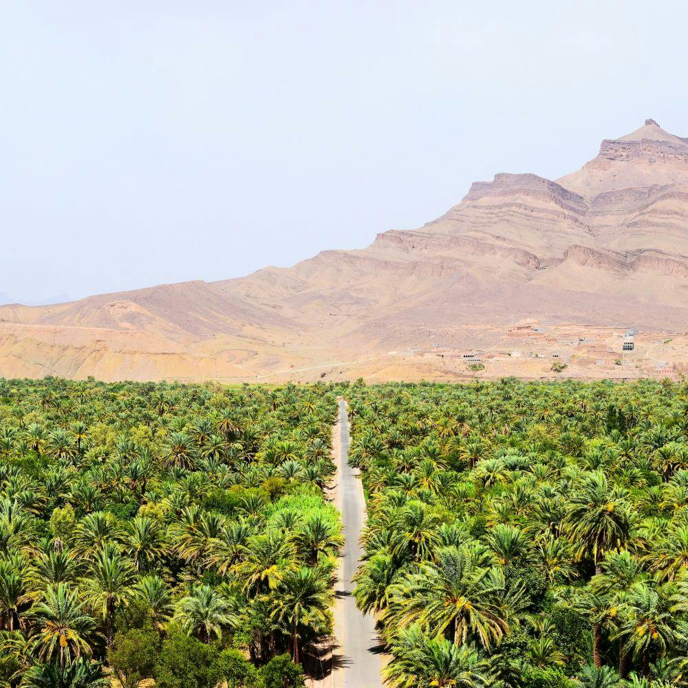 morocco road oasis