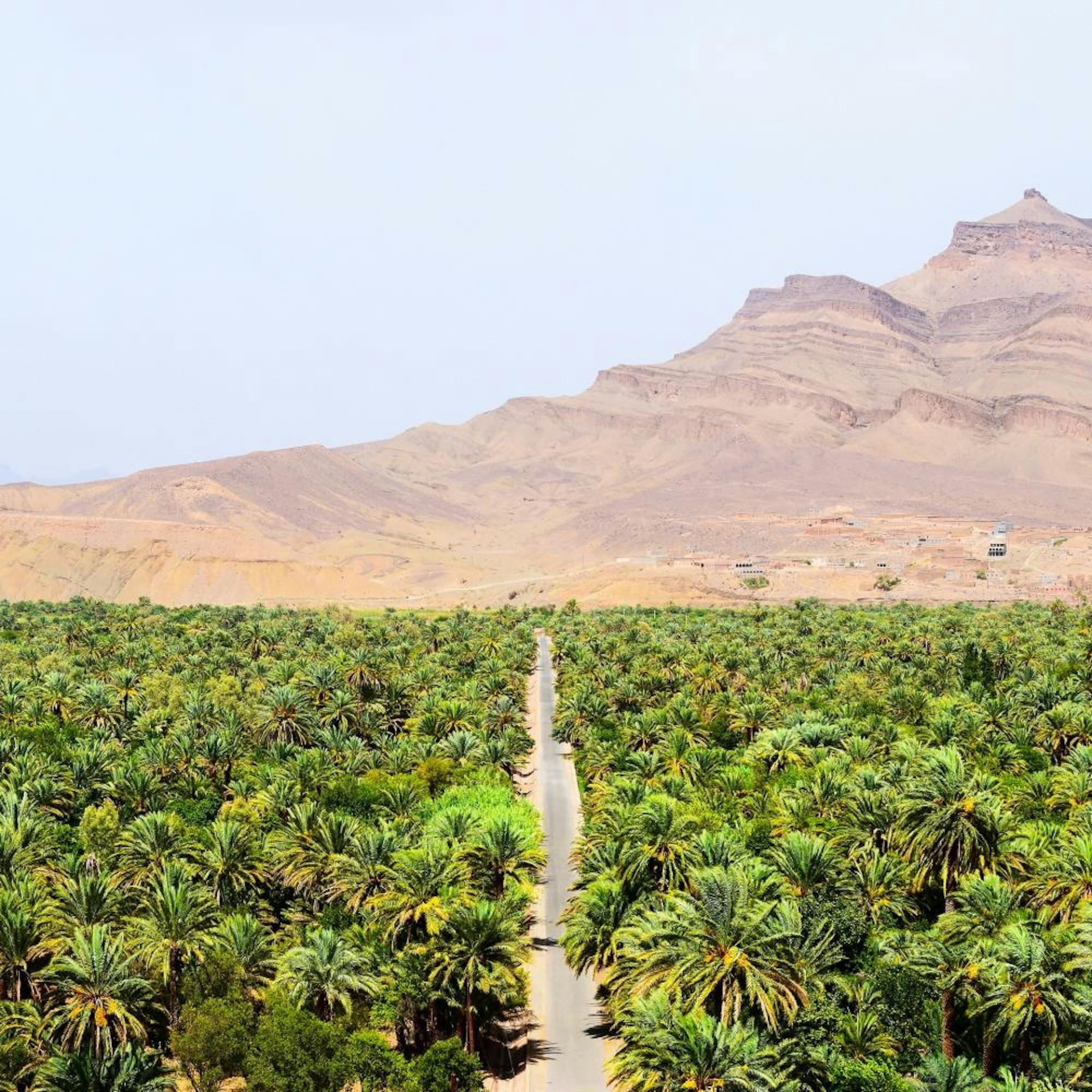 morocco road oasis