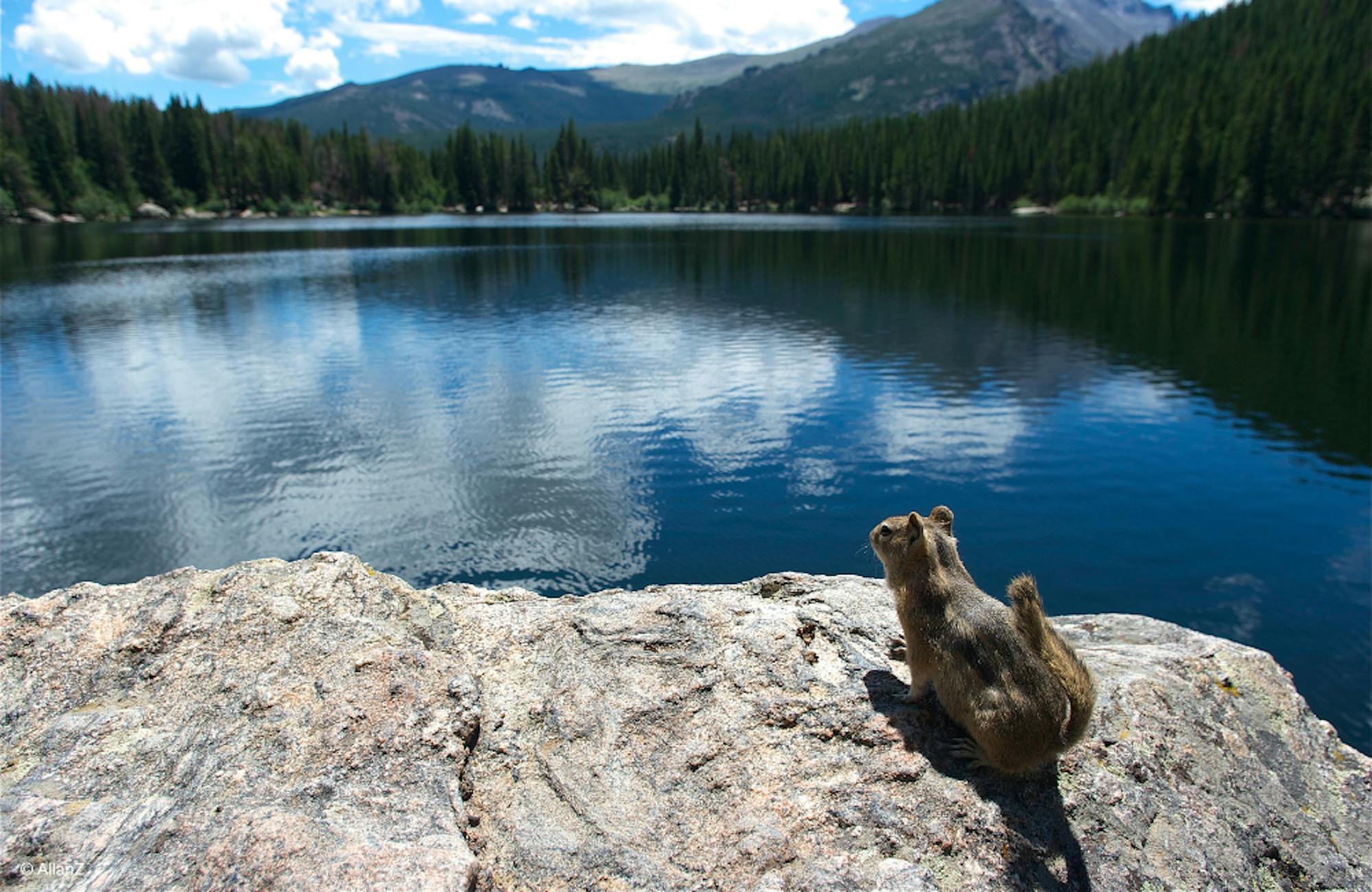 9. Explore the Park’s Diverse Ecosystems