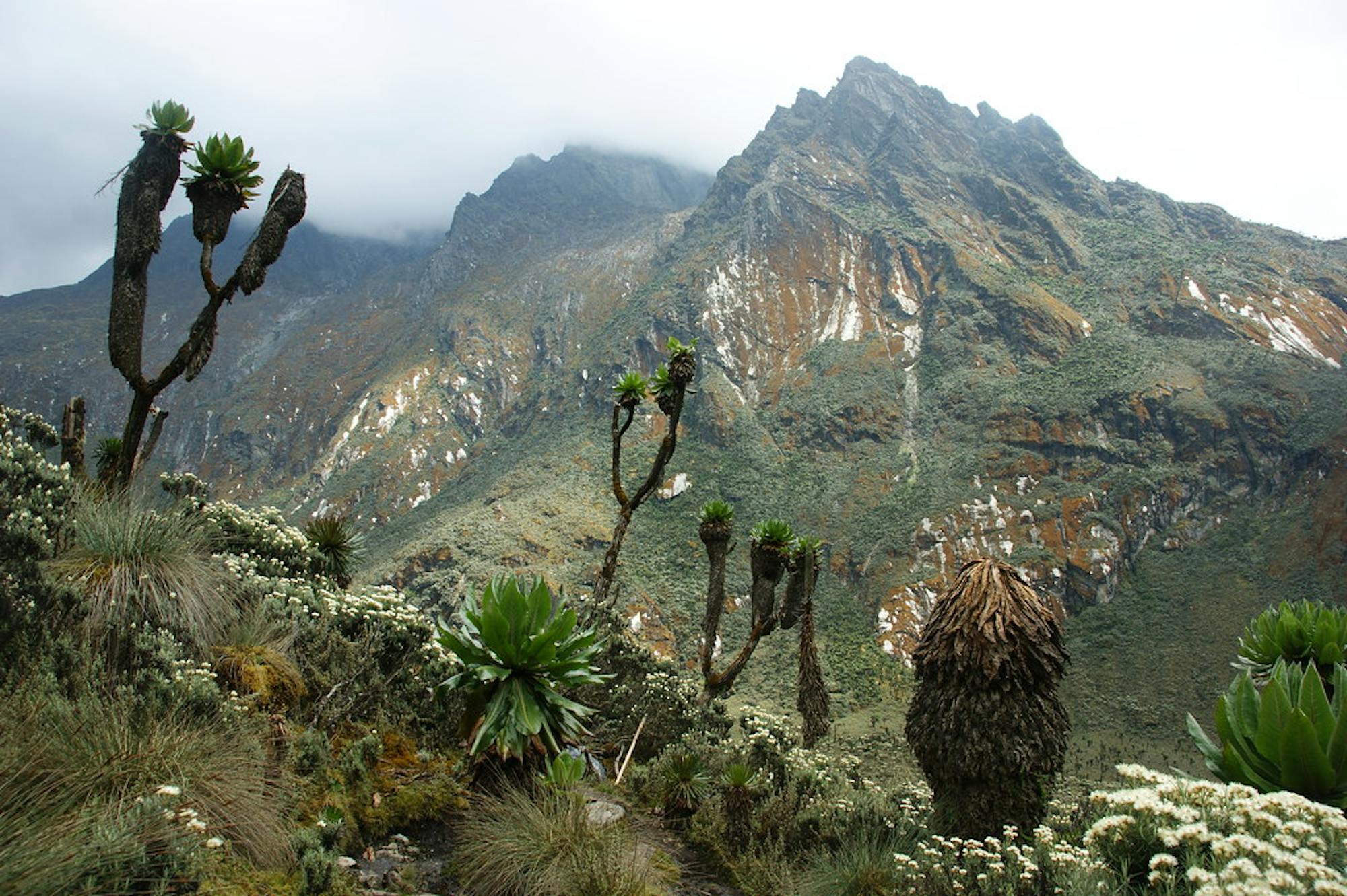 flickr - jørn eriksson - rwenzori mountains