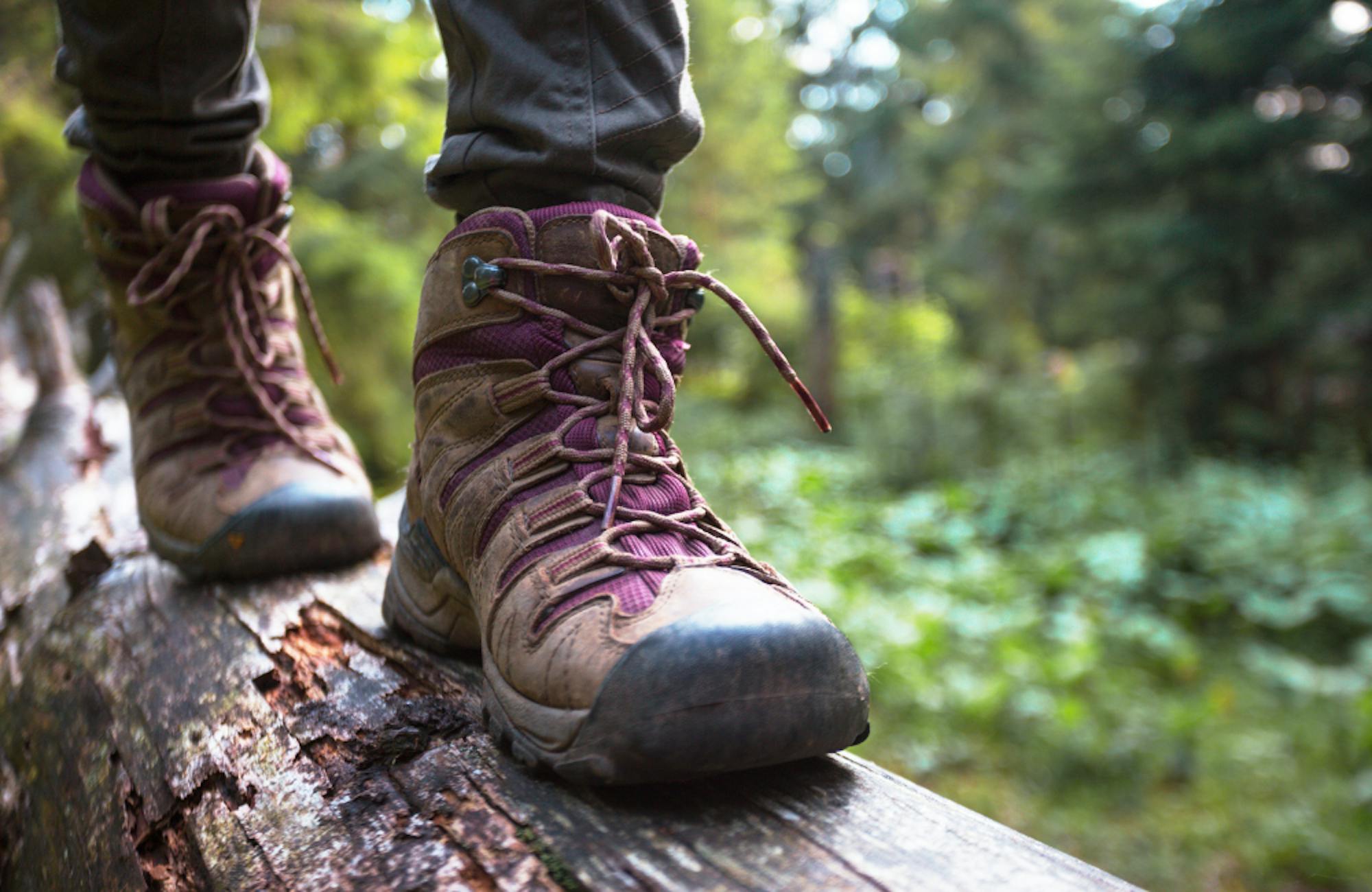 What are Hiking Boots