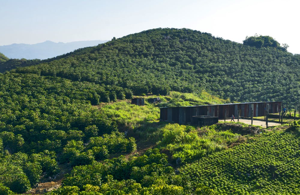 Agriculture & Coffee in Guatemala