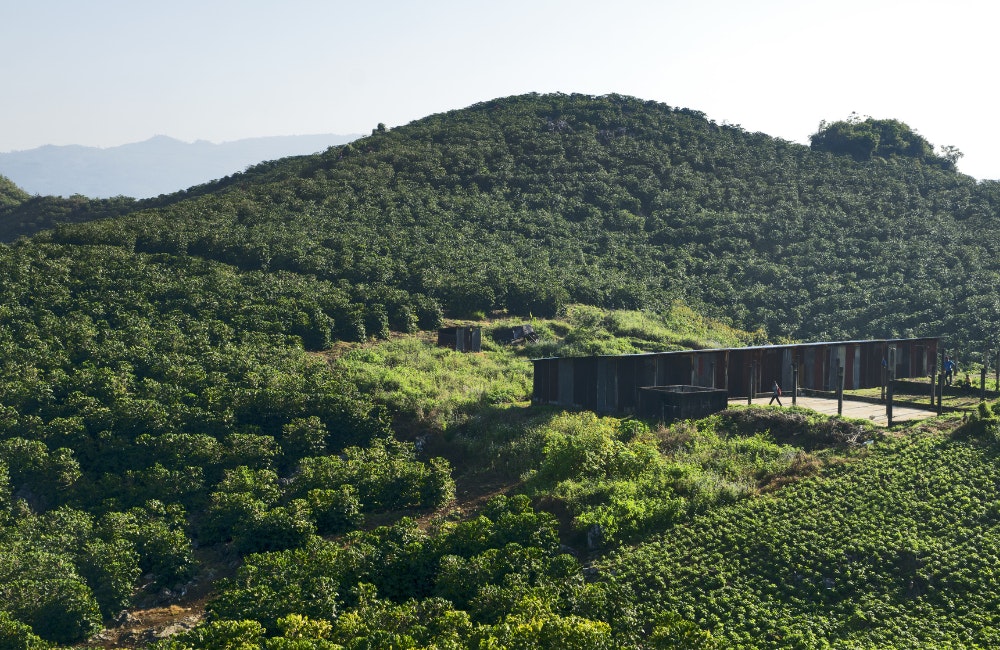 Agriculture & Coffee in Guatemala