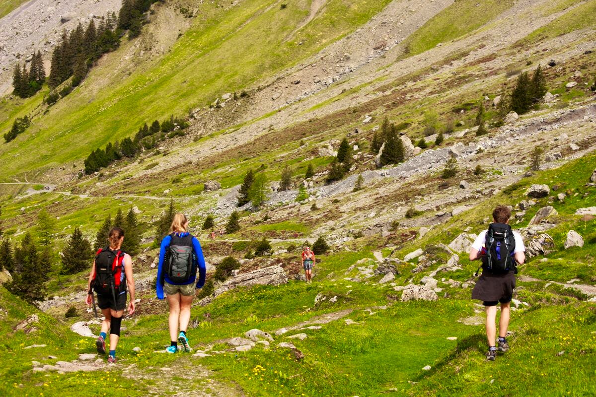 swiss hiking scenery