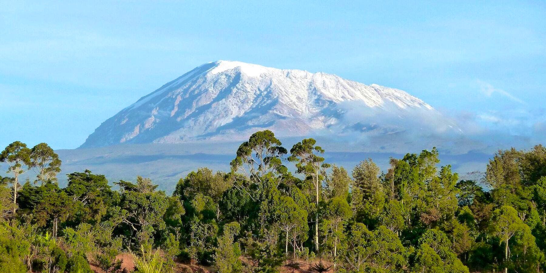 kilimanjaro on a sunny day