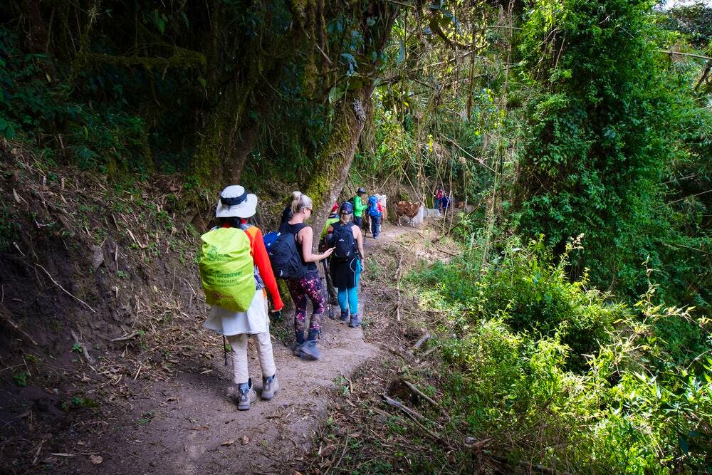 Hiking the Inca Trail (7 days)
