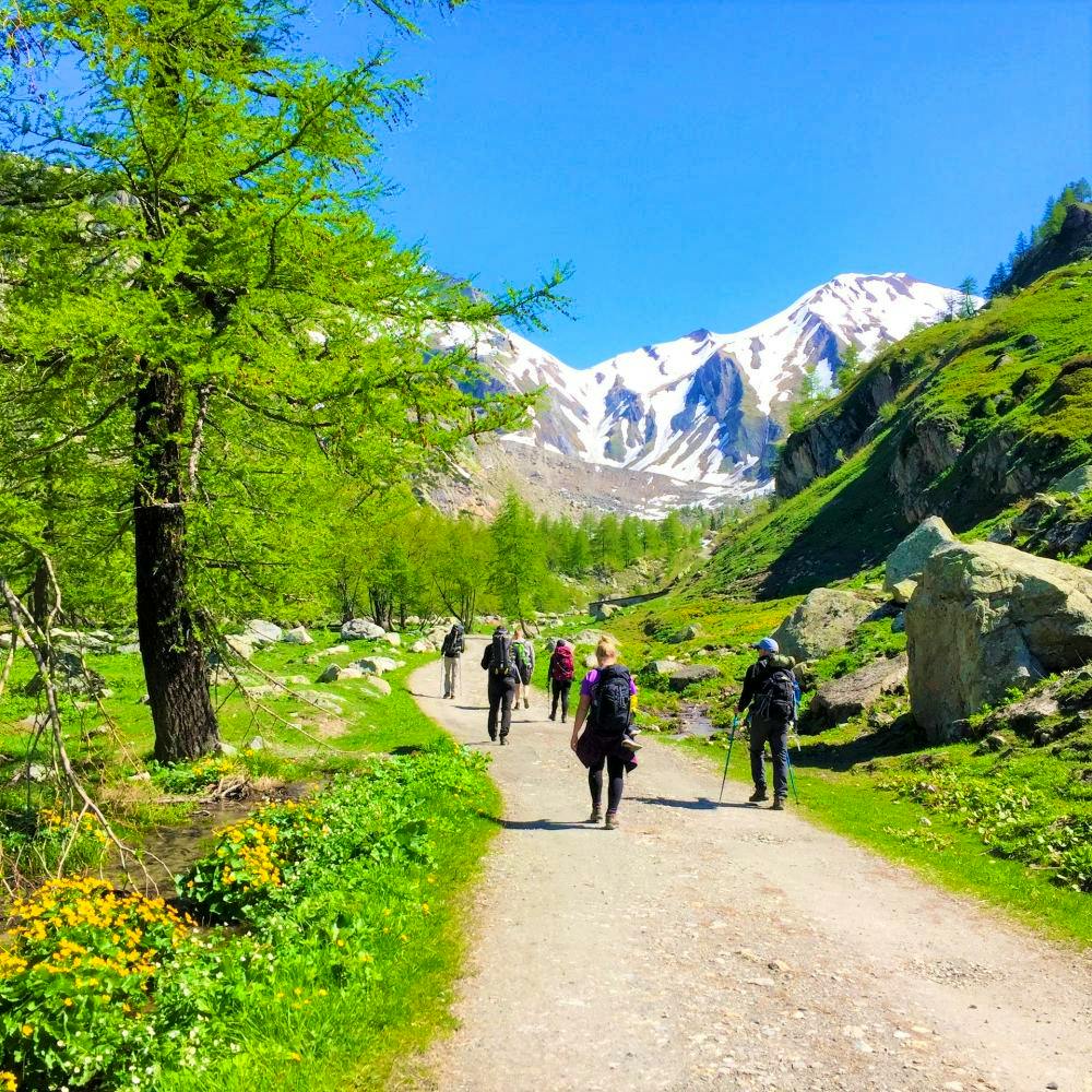 tour du mont blanc