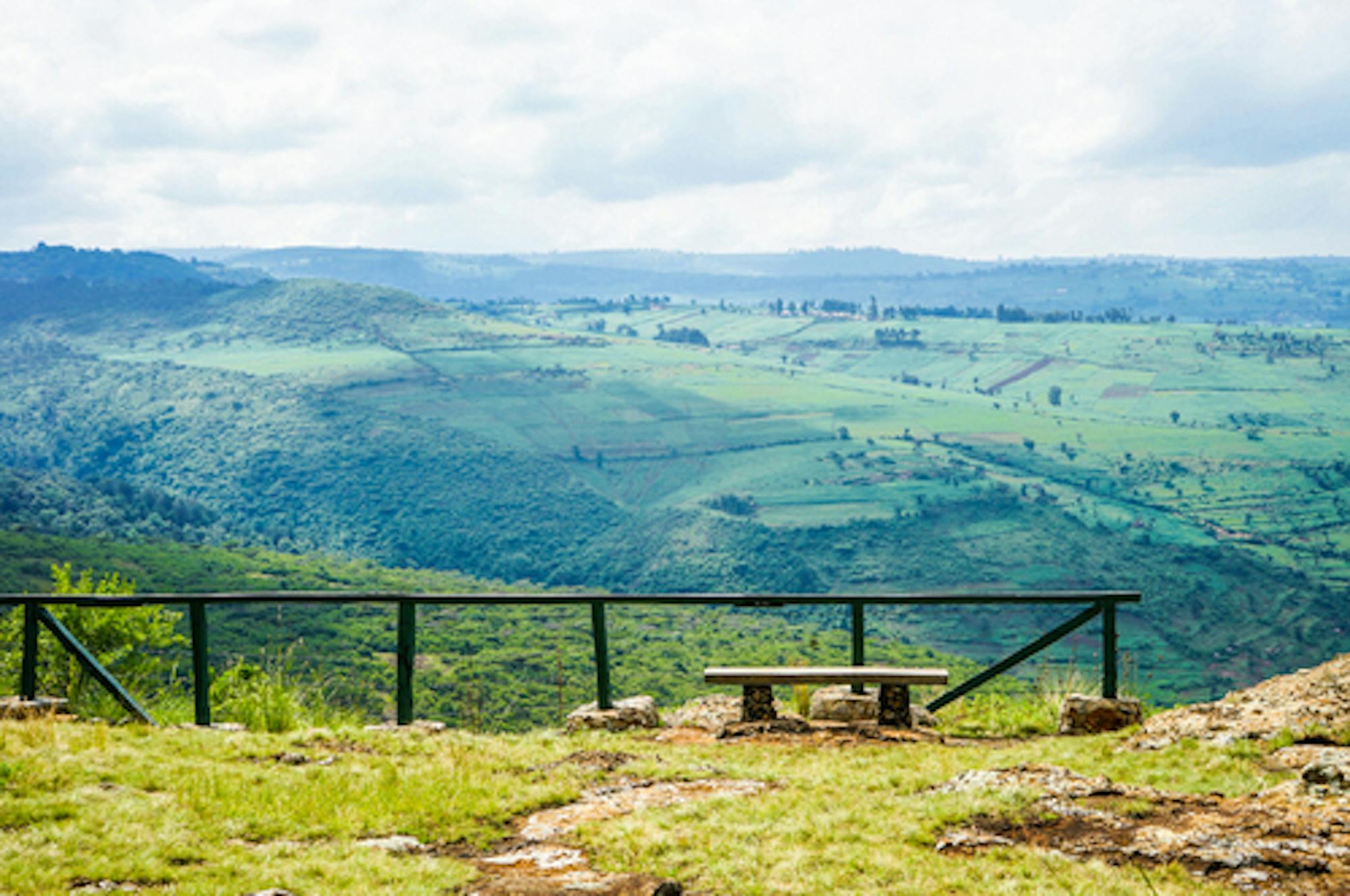 Mount Elgon National Park, Kenya (wikimedia commons)