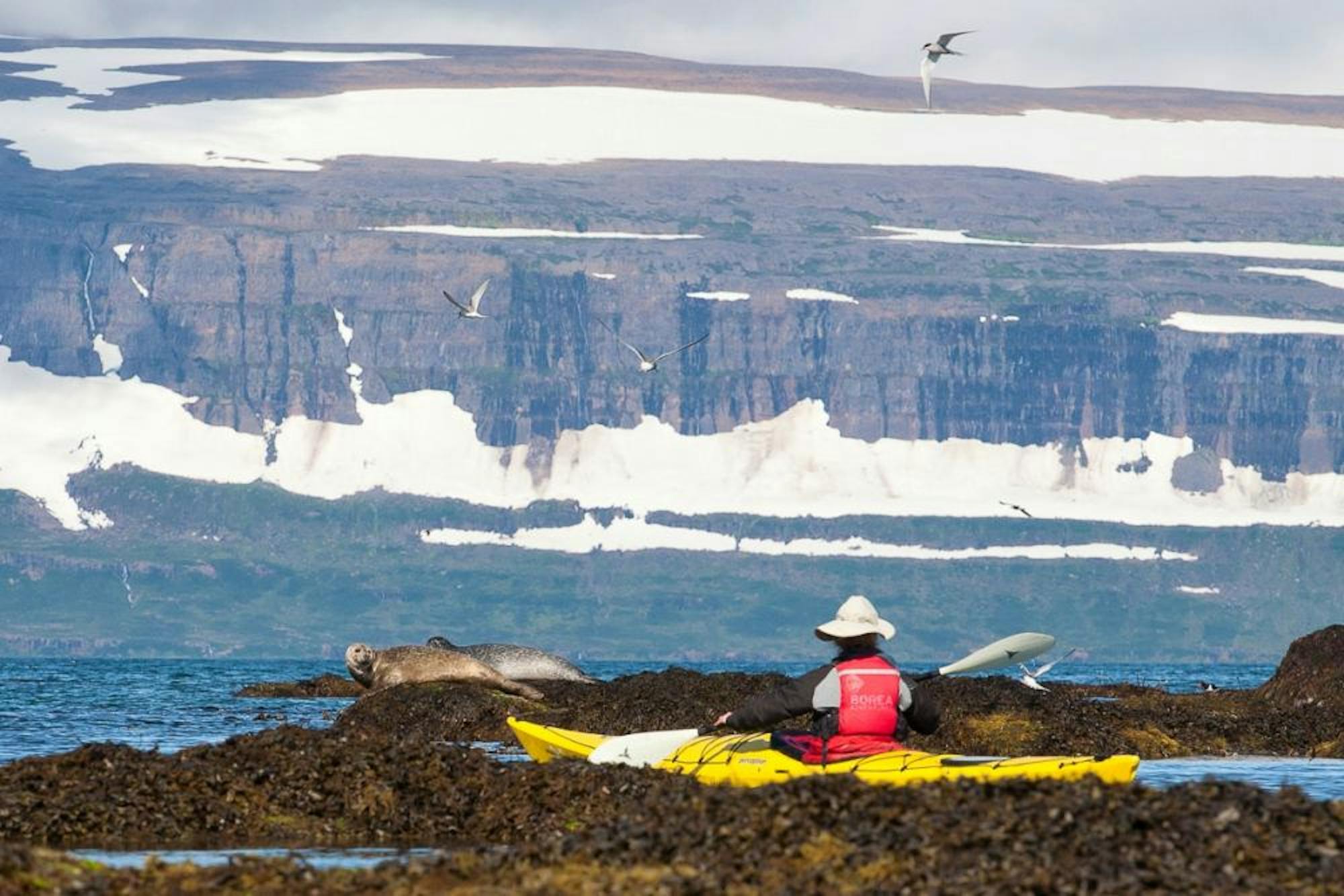 KAYAKING ICELAND