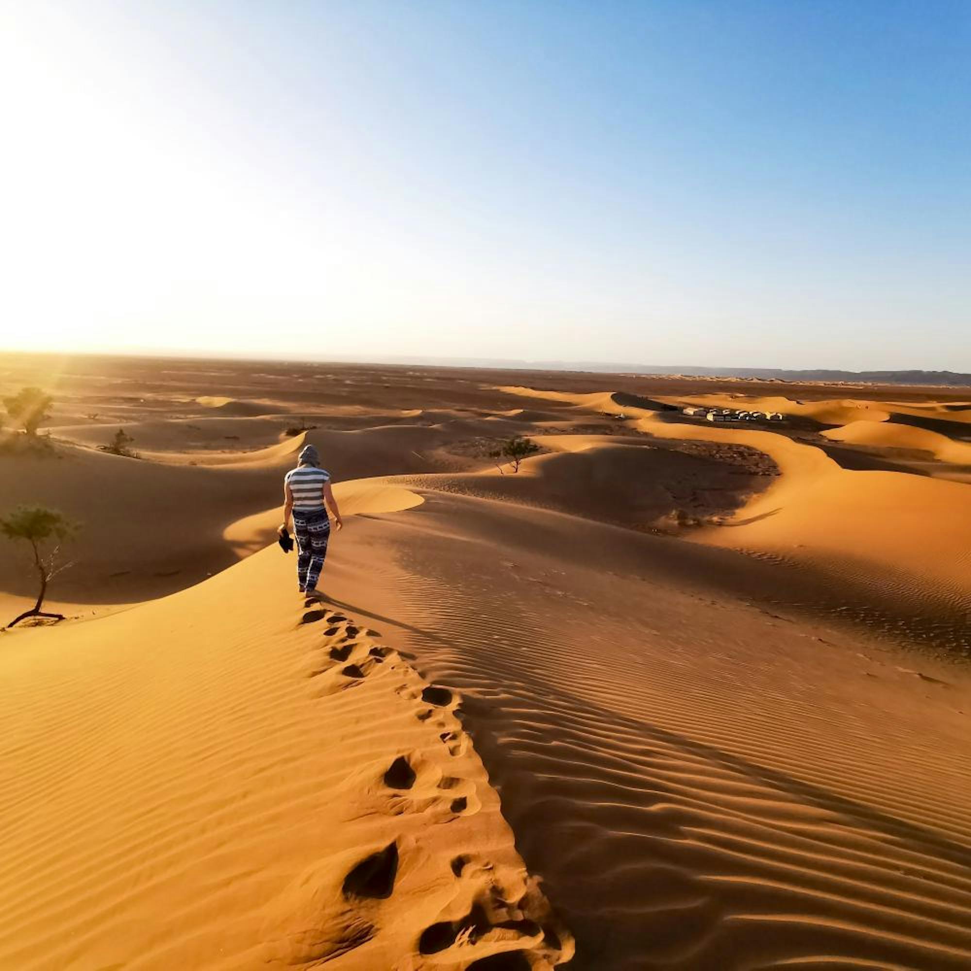 desert morocco