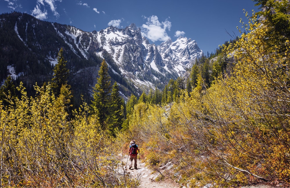 Cascade Canyon Trail