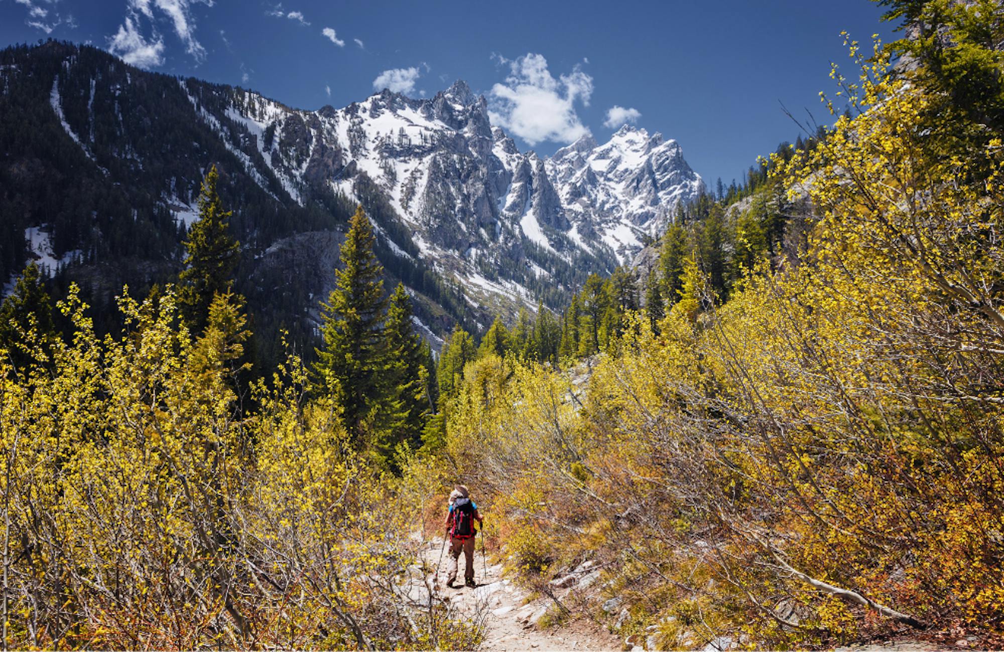 Cascade Canyon Trail