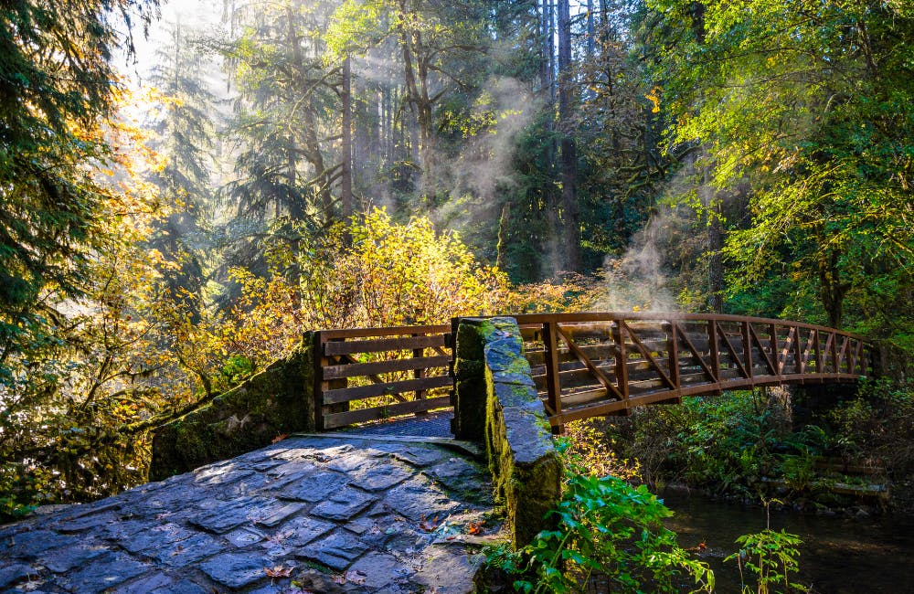 Silver Falls State Park