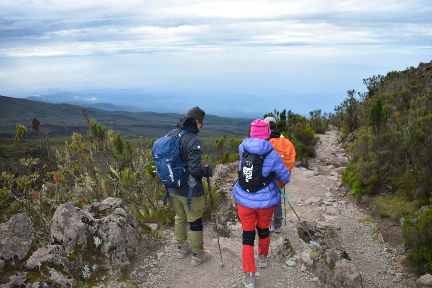 kilimanjaro down
