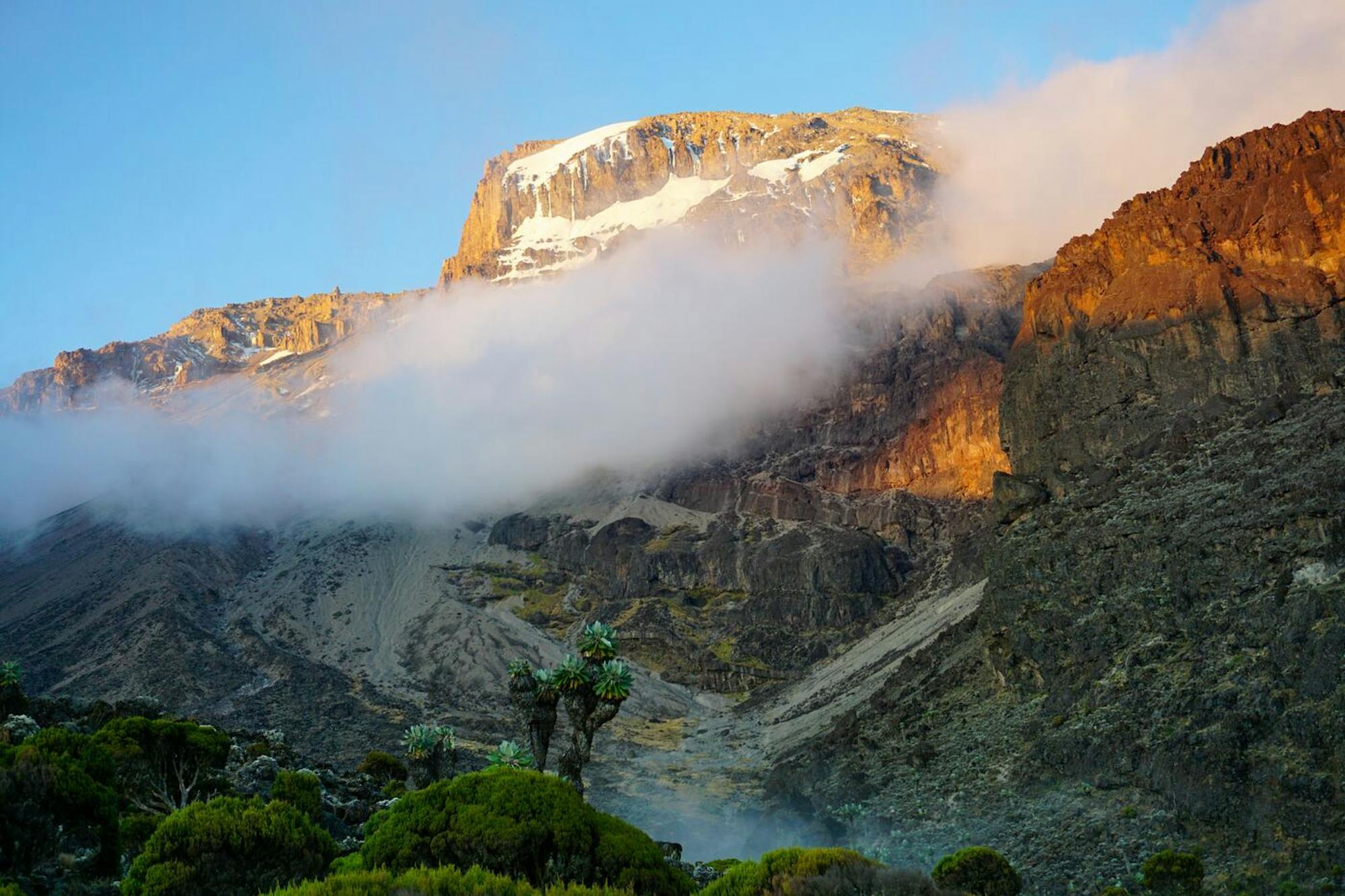mount kilimanjaro (machame route)